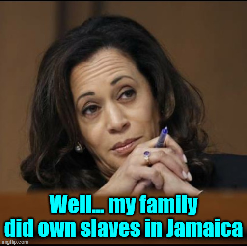 Kamala Harris  | Well... my family did own slaves in Jamaica | image tagged in kamala harris | made w/ Imgflip meme maker