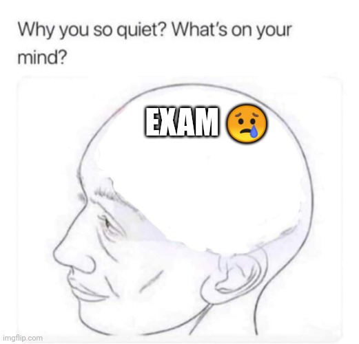 What's on your mind? | EXAM 😢 | image tagged in what's on your mind | made w/ Imgflip meme maker