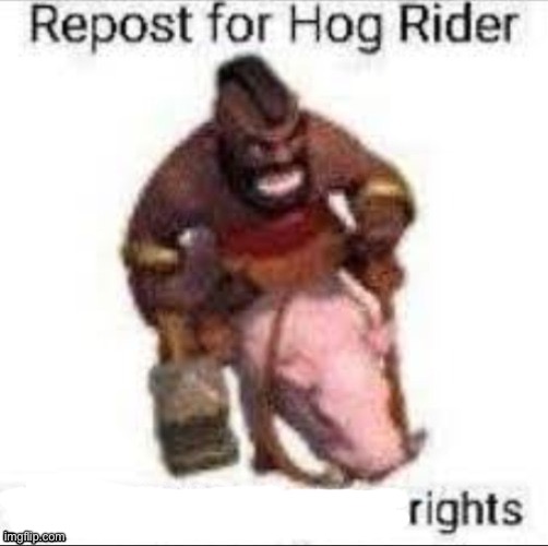 HOG RIDER | image tagged in hog rider | made w/ Imgflip meme maker