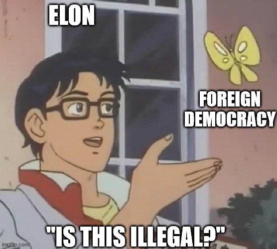 is this butterfly | ELON; FOREIGN DEMOCRACY; "IS THIS ILLEGAL?" | image tagged in is this butterfly | made w/ Imgflip meme maker