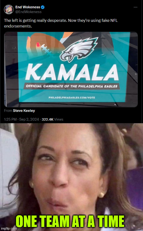 ONE TEAM AT A TIME | image tagged in kamala harris | made w/ Imgflip meme maker