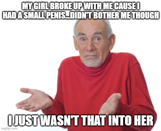 Not Into Her | MY GIRL BROKE UP WITH ME CAUSE I HAD A SMALL PENIS...DIDN'T BOTHER ME THOUGH; I JUST WASN'T THAT INTO HER | image tagged in guess i'll die | made w/ Imgflip meme maker