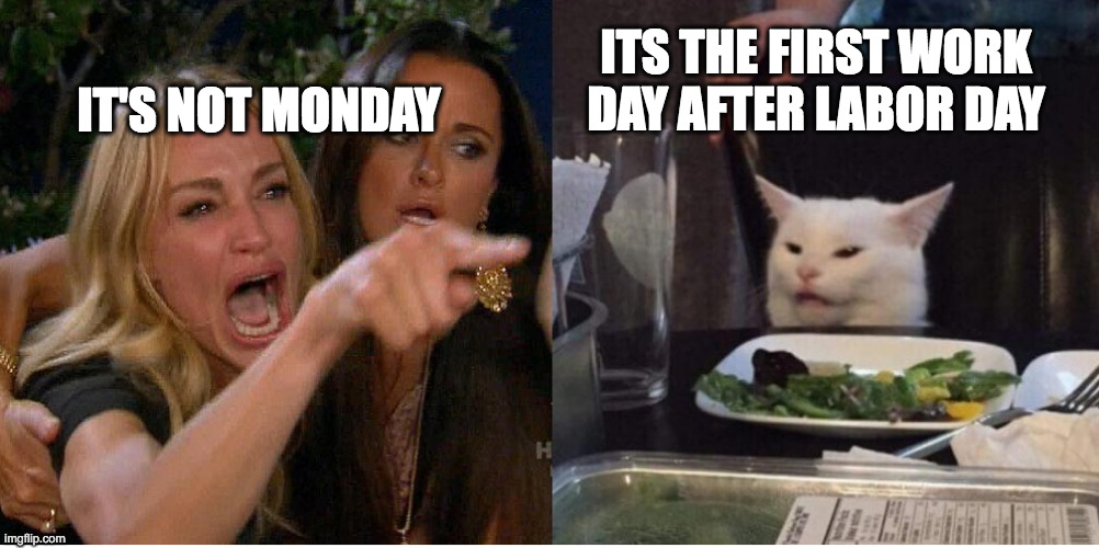 Labor Day | IT'S NOT MONDAY; ITS THE FIRST WORK DAY AFTER LABOR DAY | image tagged in salad cat | made w/ Imgflip meme maker