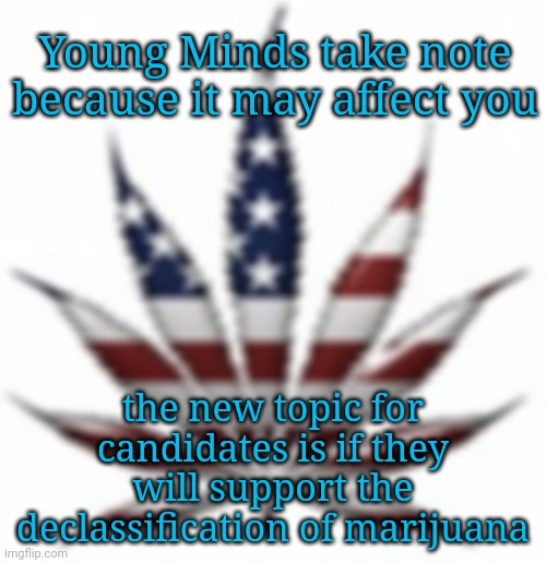 Who Says Young Voices Won't Matter in the Election? | Young Minds take note because it may affect you; the new topic for candidates is if they will support the declassification of marijuana | image tagged in dnc,young voices matter,msnbc,marijuana,medical marijuana | made w/ Imgflip meme maker