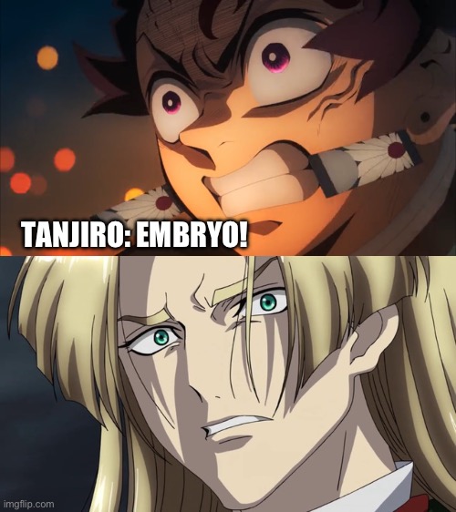 Tanjiro confronts Embryo | TANJIRO: EMBRYO! | image tagged in demon slayer,cross ange | made w/ Imgflip meme maker