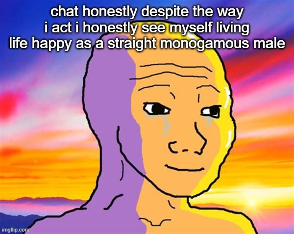 Sunset Wojak | chat honestly despite the way i act i honestly see myself living life happy as a straight monogamous male | image tagged in sunset wojak | made w/ Imgflip meme maker