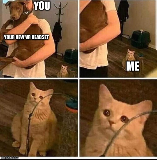 jealous cat | YOU YOUR NEW VR HEADSET ME | image tagged in jealous cat | made w/ Imgflip meme maker