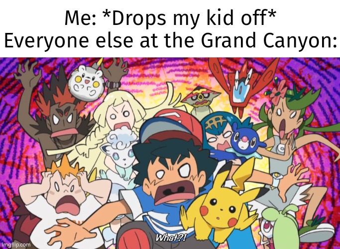 Guys, it's just a prank! | Me: *Drops my kid off*
Everyone else at the Grand Canyon: | image tagged in the grand canyon,me everyone else | made w/ Imgflip meme maker