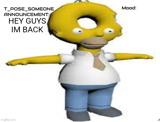 T_POSE_SOMEONE announcement | HEY GUYS IM BACK | image tagged in t_pose_someone announcement | made w/ Imgflip meme maker