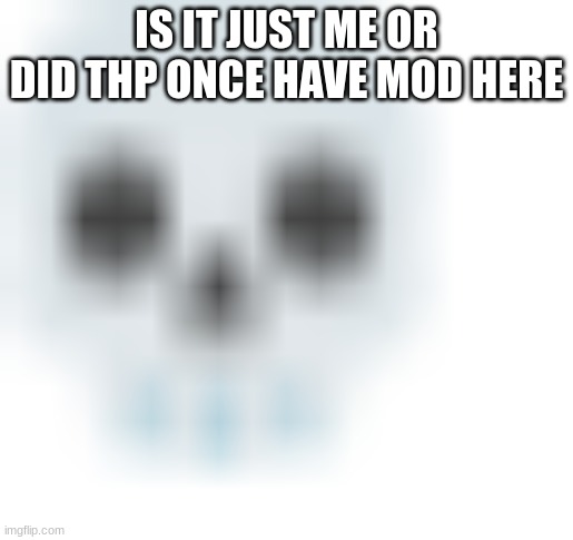 I feel like I remember seeing him with mod or owner | IS IT JUST ME OR DID THP ONCE HAVE MOD HERE | image tagged in blurred skull emoji | made w/ Imgflip meme maker