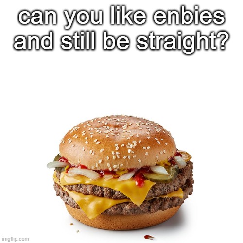 can you like enbies and still be straight? | made w/ Imgflip meme maker