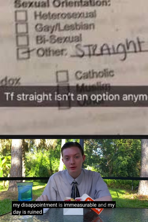 "it is an option, its called hetero-" NO | image tagged in my disappointment is immeasurable | made w/ Imgflip meme maker