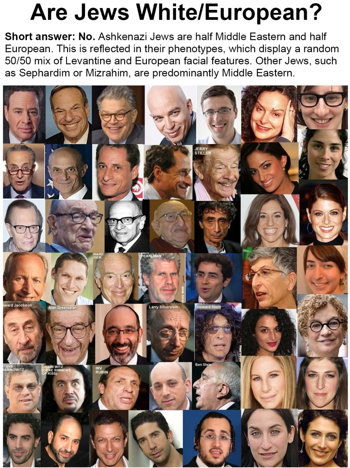 theoccidentalobserver.net unz.com dailystormer.in gab.com Blank Meme Template