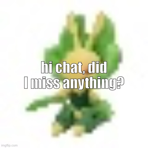 144p Leavanny | hi chat, did I miss anything? | image tagged in 144p leavanny | made w/ Imgflip meme maker