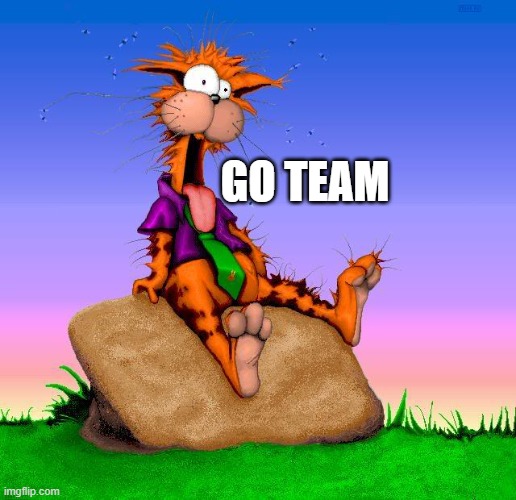 Bill the cat | GO TEAM | image tagged in bill the cat | made w/ Imgflip meme maker