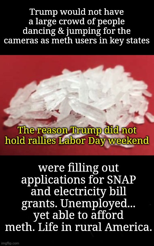 Crowd Too Busy to Attend Trump Rallies on Labor Day Weekend | Trump would not have a large crowd of people dancing & jumping for the cameras as meth users in key states; The reason Trump did not hold rallies Labor Day weekend; were filling out applications for SNAP and electricity bill grants. Unemployed... yet able to afford meth. Life in rural America. | image tagged in trump rally,labor day,meth | made w/ Imgflip meme maker