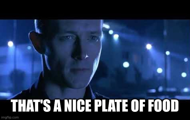 T1000 Say, that's a nice bike | THAT'S A NICE PLATE OF FOOD | image tagged in t1000 say that's a nice bike | made w/ Imgflip meme maker