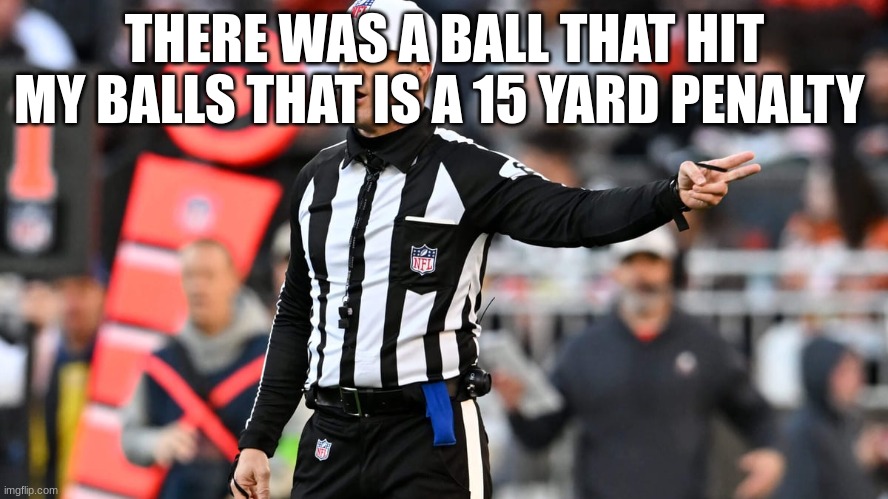 nfl ref | THERE WAS A BALL THAT HIT MY BALLS THAT IS A 15 YARD PENALTY | image tagged in nfl ref | made w/ Imgflip meme maker