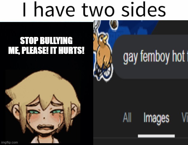 I have two sides | STOP BULLYING ME, PLEASE! IT HURTS! | image tagged in i have two sides | made w/ Imgflip meme maker