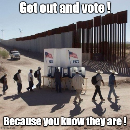 Illegal Voting | Get out and vote ! Because you know they are ! | image tagged in illegal voting | made w/ Imgflip meme maker