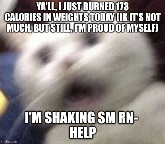 AHHHH | YA'LL, I JUST BURNED 173 CALORIES IN WEIGHTS TODAY (IK IT'S NOT MUCH, BUT STILL, I'M PROUD OF MYSELF); I'M SHAKING SM RN- 
HELP | image tagged in cat shaking | made w/ Imgflip meme maker