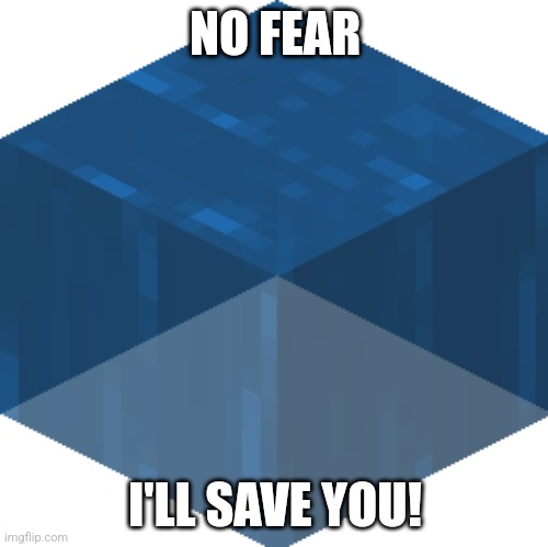 Waterblock | NO FEAR I'LL SAVE YOU! | image tagged in waterblock | made w/ Imgflip meme maker