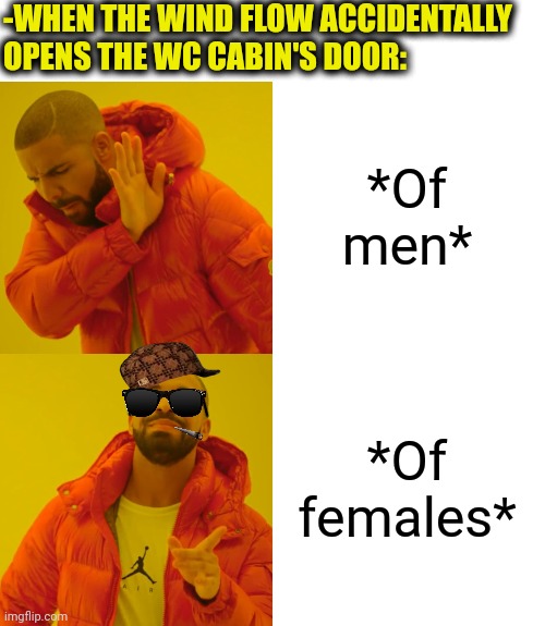 -Show me all! | -WHEN THE WIND FLOW ACCIDENTALLY OPENS THE WC CABIN'S DOOR:; *Of men*; *Of females* | image tagged in memes,drake hotline bling,difference between men and women,toilet humor,help i accidentally,fbi open up | made w/ Imgflip meme maker