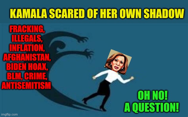 Kamala, not a leader | KAMALA SCARED OF HER OWN SHADOW; FRACKING, ILLEGALS, INFLATION, AFGHANISTAN, BIDEN HOAX, BLM, CRIME, ANTISEMITISM; OH NO! A QUESTION! | image tagged in gifs,democrats,kamala harris,coward | made w/ Imgflip meme maker