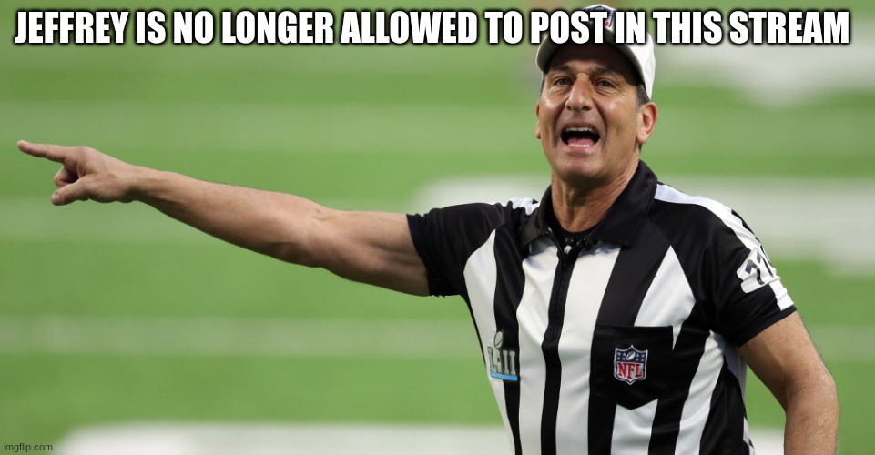 nfl ref | JEFFREY IS NO LONGER ALLOWED TO POST IN THIS STREAM | image tagged in nfl ref | made w/ Imgflip meme maker