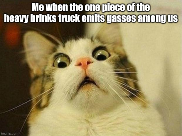 That sentence will trigger so many neurons (inspired) | Me when the one piece of the heavy brinks truck emits gasses among us | image tagged in scared cat,brainrot | made w/ Imgflip meme maker