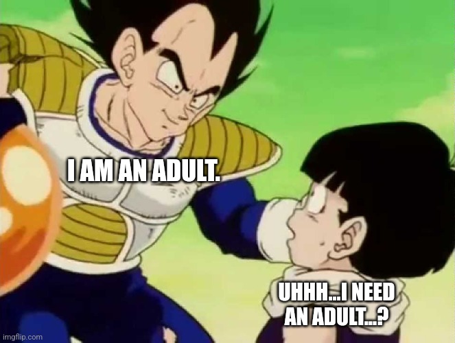 I need an adult | I AM AN ADULT. UHHH...I NEED AN ADULT...? | image tagged in i need an adult | made w/ Imgflip meme maker