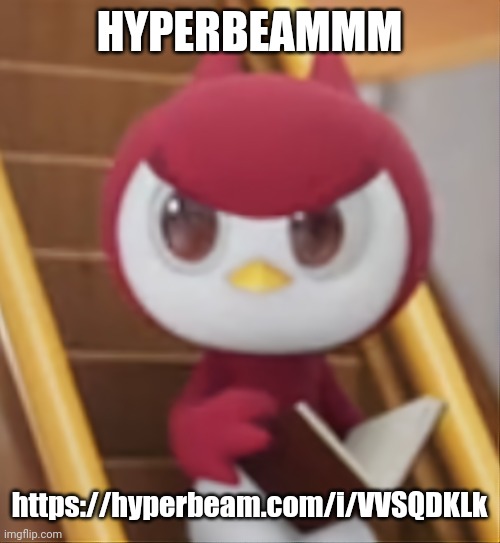 BOOK ❗️ | HYPERBEAMMM; https://hyperbeam.com/i/VVSQDKLk | image tagged in book | made w/ Imgflip meme maker