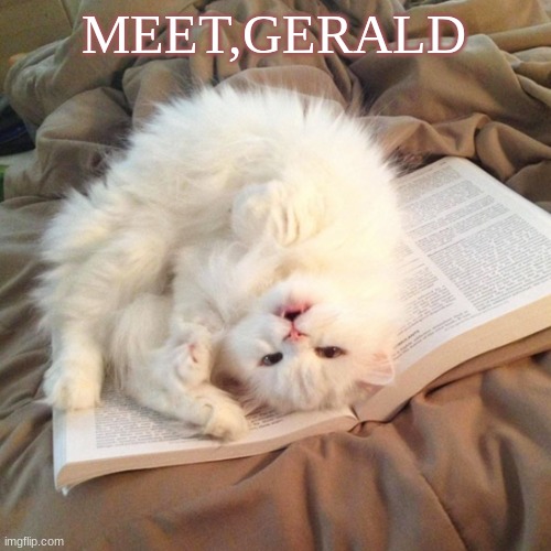 cat on book | MEET,GERALD | image tagged in cat on book | made w/ Imgflip meme maker