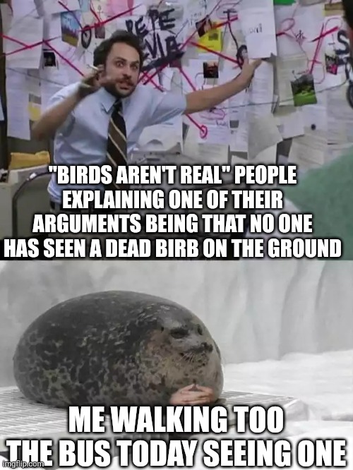 Man explaining to seal | "BIRDS AREN'T REAL" PEOPLE EXPLAINING ONE OF THEIR ARGUMENTS BEING THAT NO ONE HAS SEEN A DEAD BIRB ON THE GROUND; ME WALKING TOO THE BUS TODAY SEEING ONE | image tagged in man explaining to seal | made w/ Imgflip meme maker