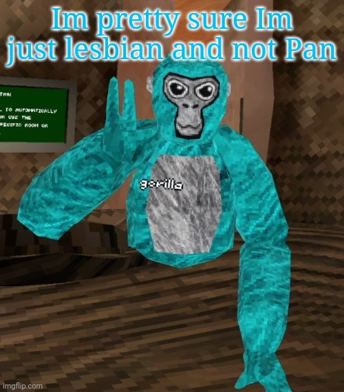 Monkey | Im pretty sure Im just lesbian and not Pan | image tagged in monkey | made w/ Imgflip meme maker