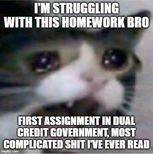 crying cat | I'M STRUGGLING WITH THIS HOMEWORK BRO; FIRST ASSIGNMENT IN DUAL CREDIT GOVERNMENT, MOST COMPLICATED SHIT I'VE EVER READ | image tagged in crying cat | made w/ Imgflip meme maker