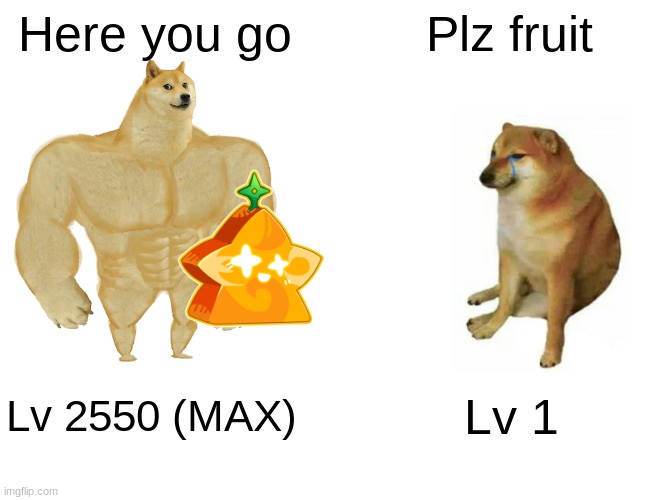 Buff Doge vs. Cheems | Here you go; Plz fruit; Lv 2550 (MAX); Lv 1 | image tagged in memes,buff doge vs cheems,roblox | made w/ Imgflip meme maker