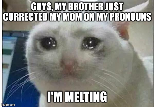 I DIDNT KNOW HE KNEW ASAJALS | GUYS, MY BROTHER JUST CORRECTED MY MOM ON MY PRONOUNS; I'M MELTING | image tagged in crying cat | made w/ Imgflip meme maker