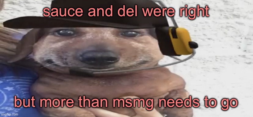 chucklenuts | sauce and del were right; but more than msmg needs to go | image tagged in chucklenuts | made w/ Imgflip meme maker