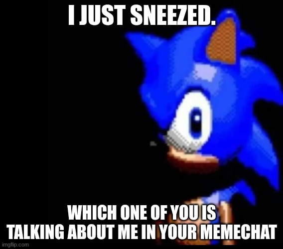 Sonic stares | I JUST SNEEZED. WHICH ONE OF YOU IS TALKING ABOUT ME IN YOUR MEMECHAT | image tagged in sonic stares | made w/ Imgflip meme maker