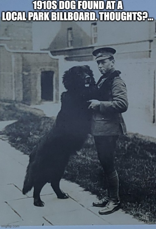 Woof | 1910S DOG FOUND AT A LOCAL PARK BILLBOARD. THOUGHTS?… | image tagged in dogs,ww1,signs/billboards,fresh memes | made w/ Imgflip meme maker