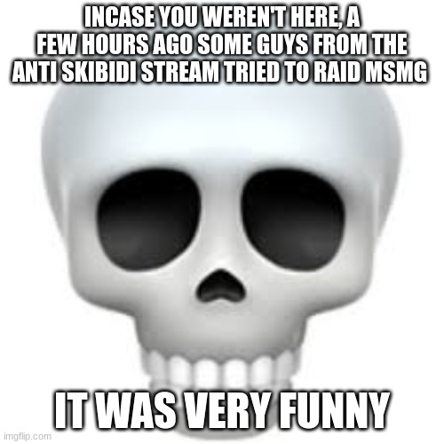 Skull | INCASE YOU WEREN'T HERE, A FEW HOURS AGO SOME GUYS FROM THE ANTI SKIBIDI STREAM TRIED TO RAID MSMG ; IT WAS VERY FUNNY | image tagged in skull | made w/ Imgflip meme maker