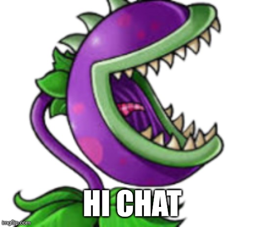 Chomper | HI CHAT | image tagged in chomper | made w/ Imgflip meme maker