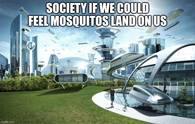 Futuristic Utopia | SOCIETY IF WE COULD FEEL MOSQUITOS LAND ON US | image tagged in futuristic utopia | made w/ Imgflip meme maker