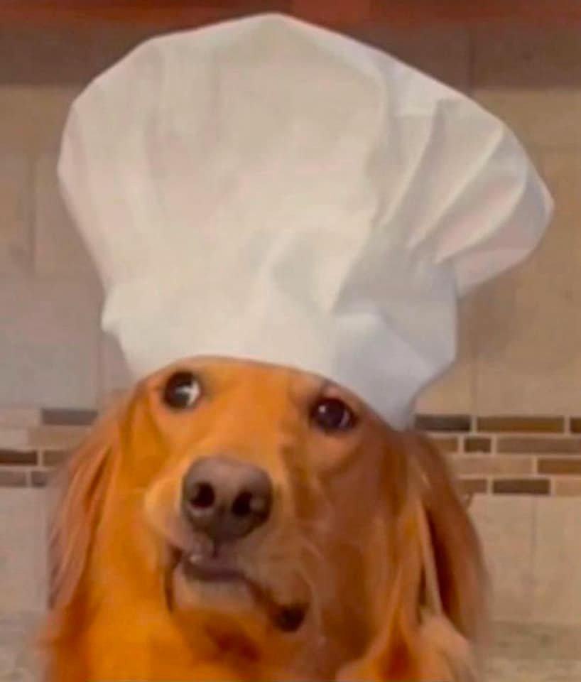 High Quality Dog chef Blank Meme Template