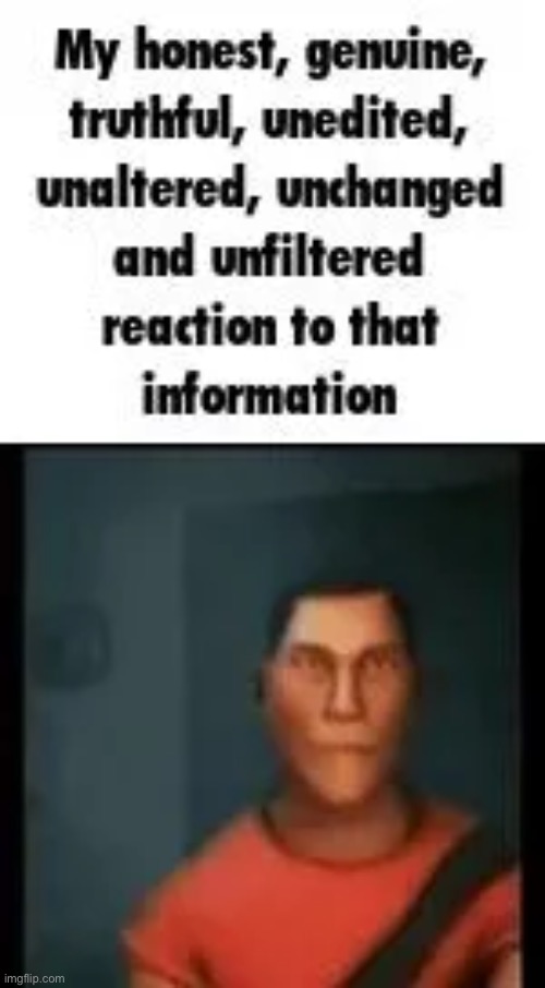 scout reaction | image tagged in scout reaction | made w/ Imgflip meme maker