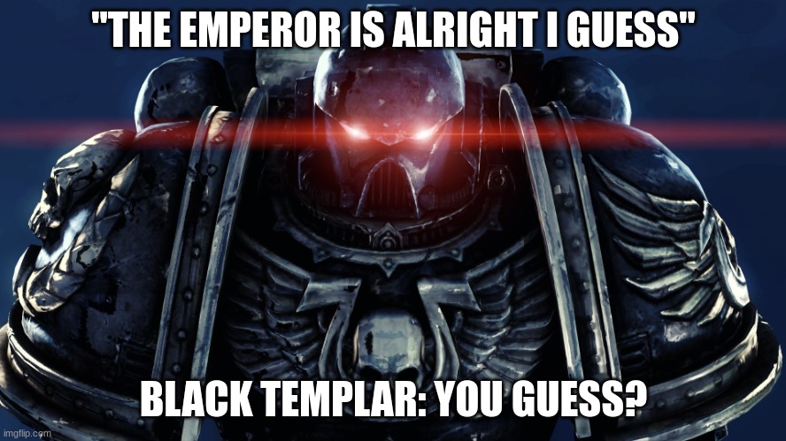 Space Marines | "THE EMPEROR IS ALRIGHT I GUESS"; BLACK TEMPLAR: YOU GUESS? | image tagged in space marines | made w/ Imgflip meme maker