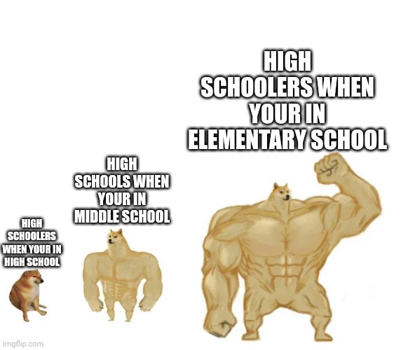 High Schoolers comparison | HIGH SCHOOLERS WHEN YOUR IN ELEMENTARY SCHOOL; HIGH SCHOOLS WHEN YOUR IN MIDDLE SCHOOL; HIGH SCHOOLERS WHEN YOUR IN HIGH SCHOOL | image tagged in cheems buff doge ultra doge | made w/ Imgflip meme maker