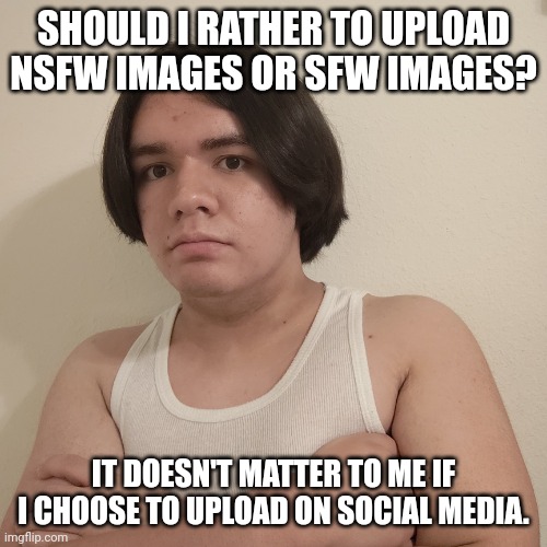 Risk Level | SHOULD I RATHER TO UPLOAD NSFW IMAGES OR SFW IMAGES? IT DOESN'T MATTER TO ME IF I CHOOSE TO UPLOAD ON SOCIAL MEDIA. | image tagged in memes,stepheno,funny,nsfw,sfw,social media | made w/ Imgflip meme maker