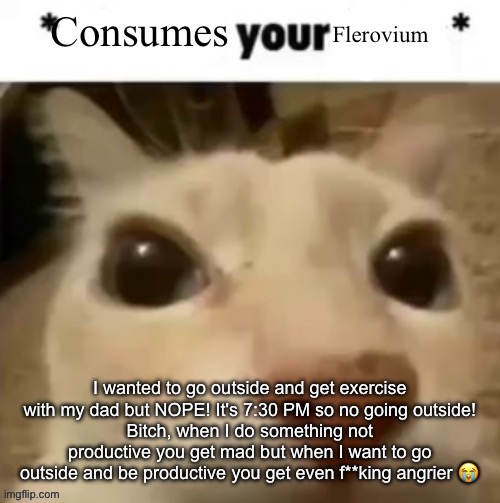 @my bitchass mom | I wanted to go outside and get exercise with my dad but NOPE! It's 7:30 PM so no going outside!
Bitch, when I do something not productive you get mad but when I want to go outside and be productive you get even f**king angrier 😭 | image tagged in yakko consumes your flerovium | made w/ Imgflip meme maker